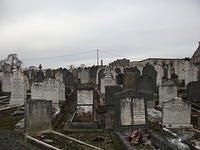 DSCF0391