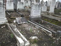 DSCF0393