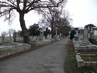 DSCF0400