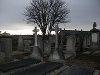 DSCF0404