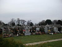 DSCF0406