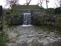 DSCF0413
