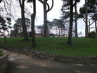 DSCF0414