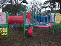 DSCF0425