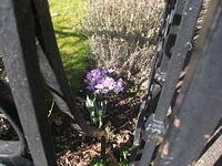 DSCF1670