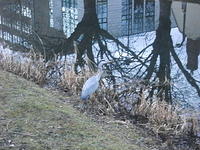 DSCF1767