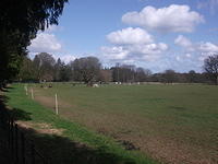 DSCF2244