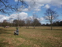 DSCF2268
