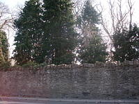 DSCF2281