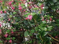 DSCF2287