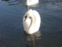 DSCF2318