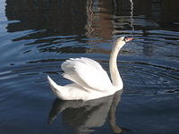 DSCF2319