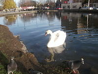 DSCF2328