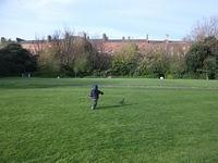 DSCF3216