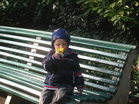 DSCF3234