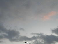 P1091083