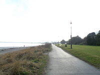 P1141116