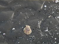 P1141162