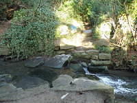 P1171289