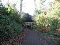 P1171291