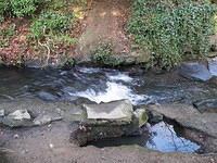 P1171294