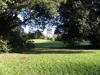 P1171305