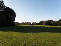 P1171309