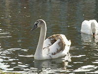 P2051753
