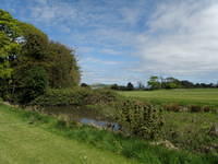 P5091803