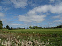 P5091836