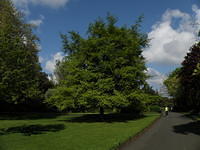 P5122046