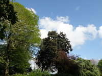 P5122068