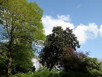 P5122069