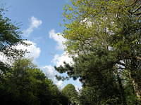 P5122093
