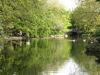 P5122107