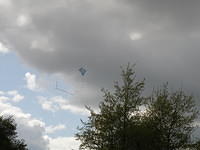 P5162638