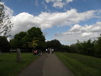 P5162642