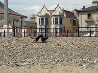 P7110030
