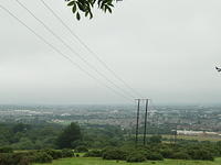 P7250005