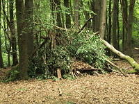 P7250014