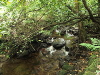 P7250020.1