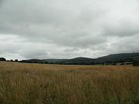 P7250049.1
