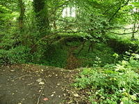 P7250069