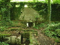 P7250071