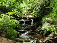 P7250077