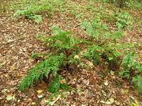 P9191560