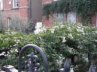 PB060368