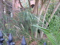 PB060369