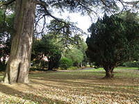 PB060372