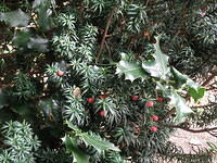 PB060374